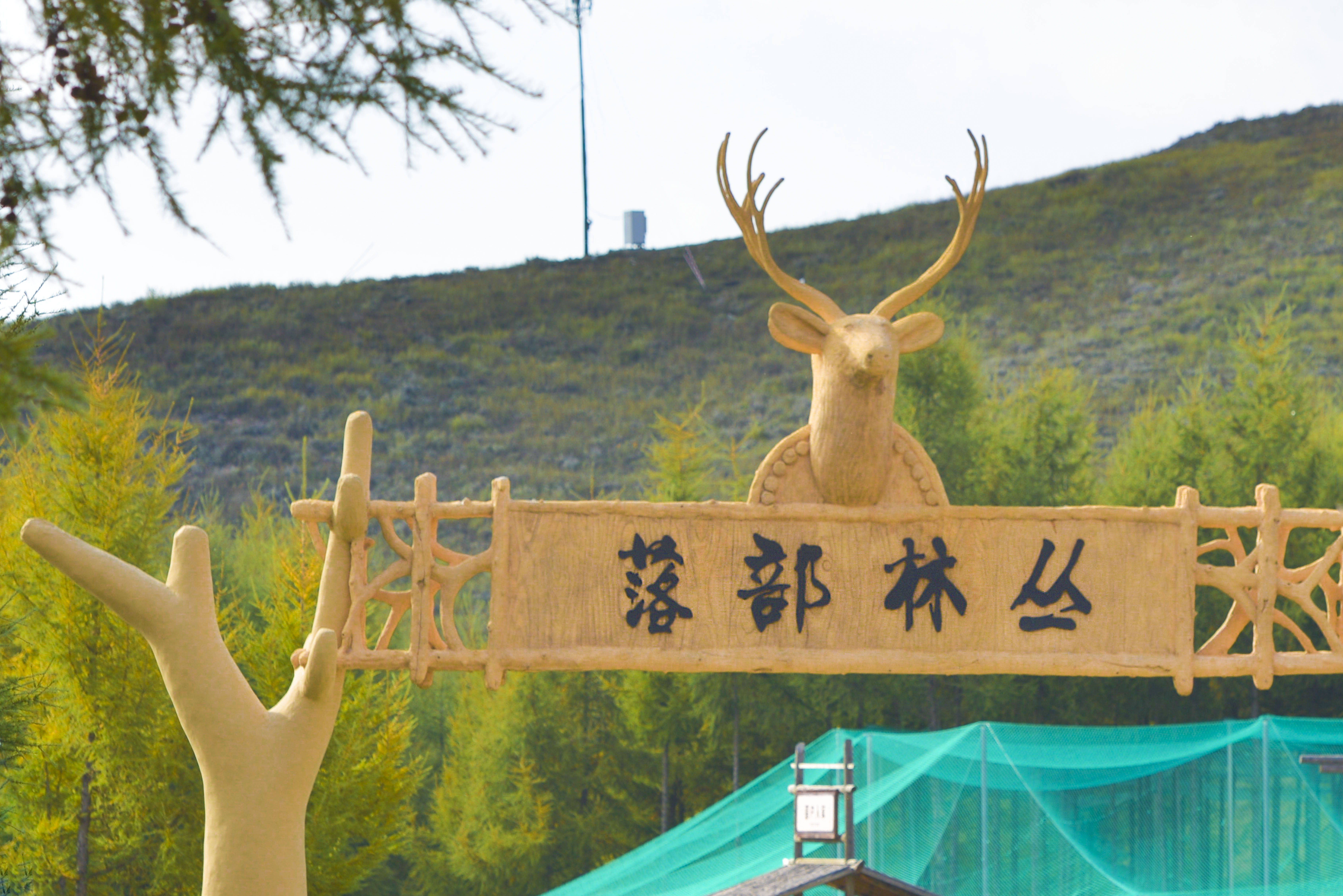 丰宁神仙谷七彩森林景区地图,丰宁坝上七彩森林游玩攻略