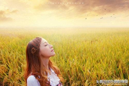 实用技巧大揭秘学好7招用光不再是难题