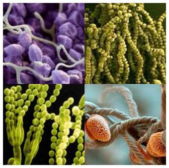 全自动洗衣机太脏能引起皮肤痒吗,洗衣机太脏导致皮肤过敏怎么办