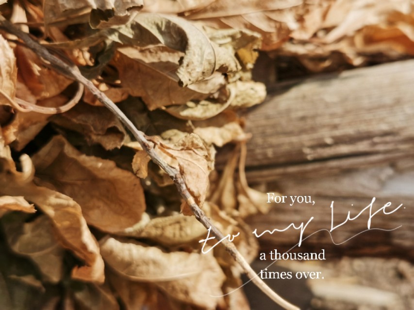 一部手机拍大片视频,一部手机就可以拍出大片