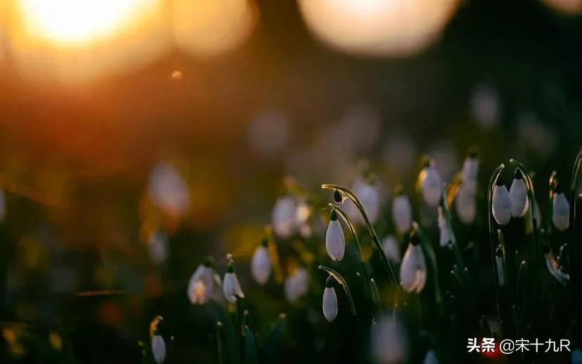 人间词话王国维原文人生三境,王国维人间词话三境