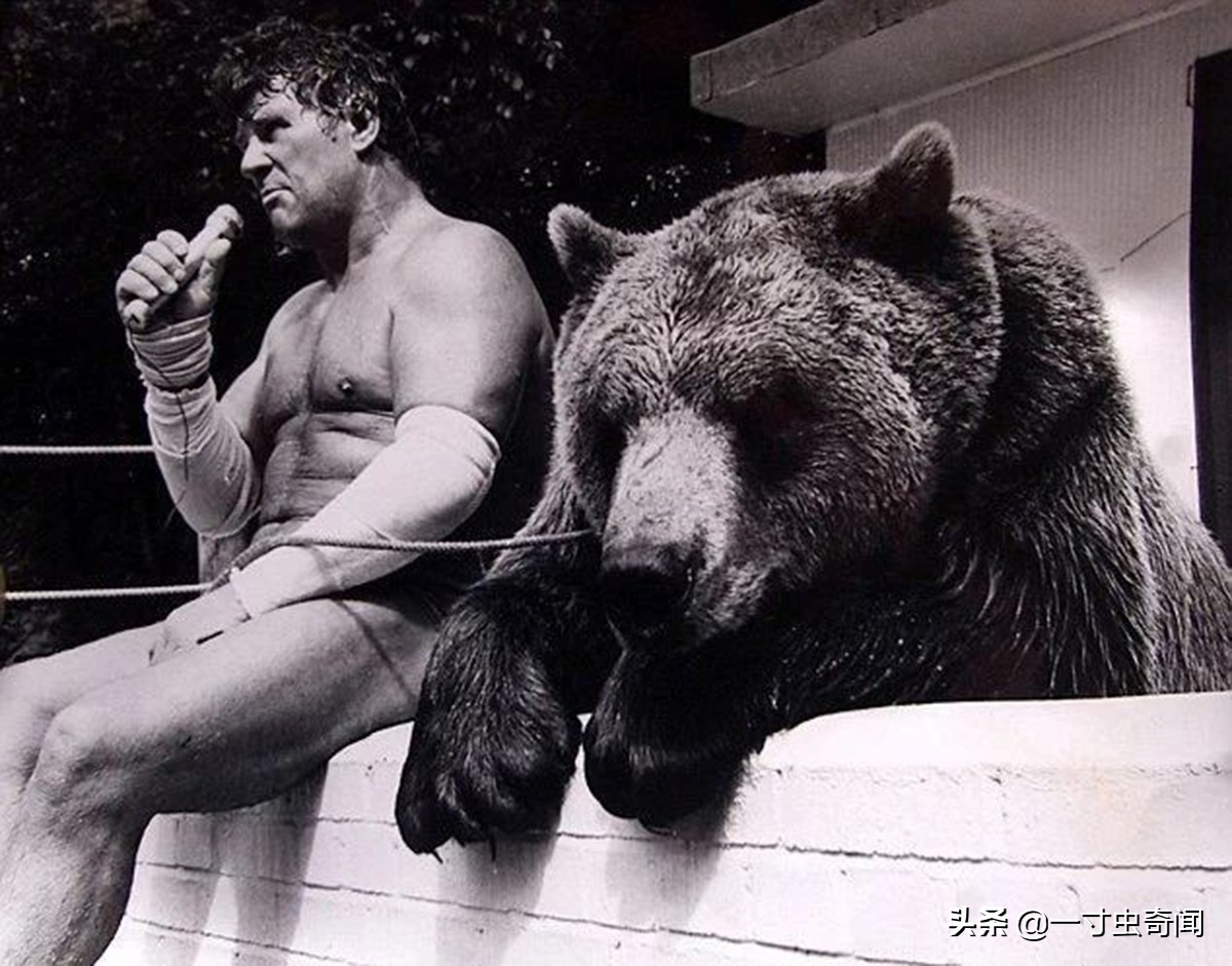 对付野兽最有效的办法,遇到野兽反击