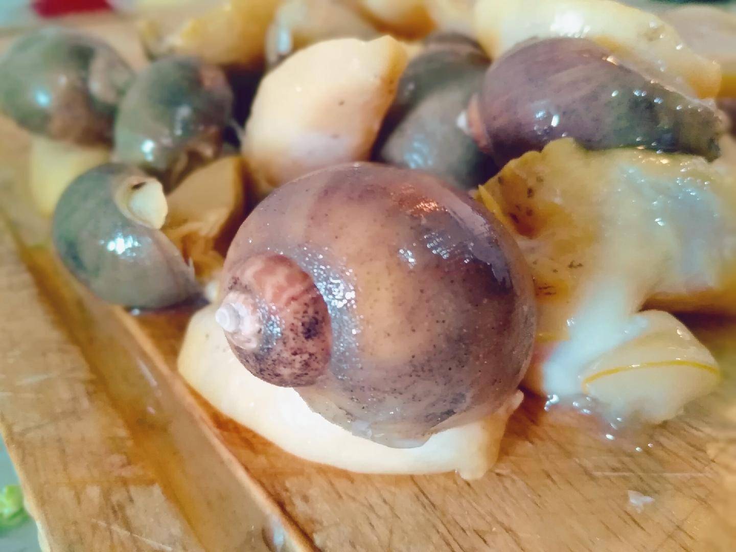 10元的鲍鱼能买吗,10元一斤的鲍鱼