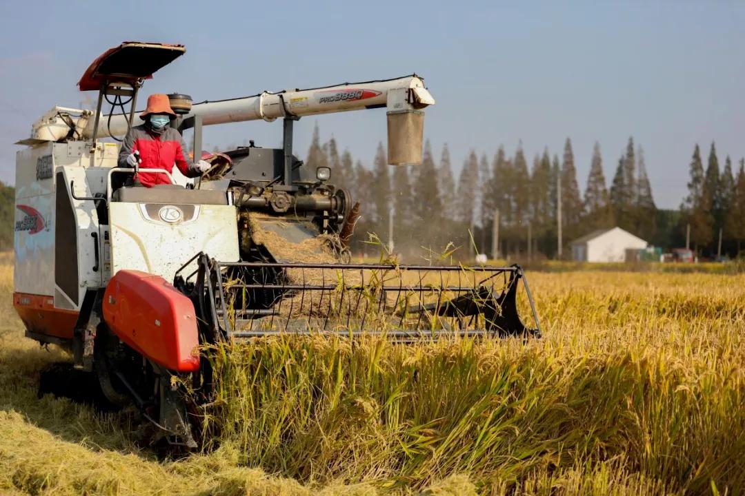 昆山限时特卖会,昆山大润发抢购