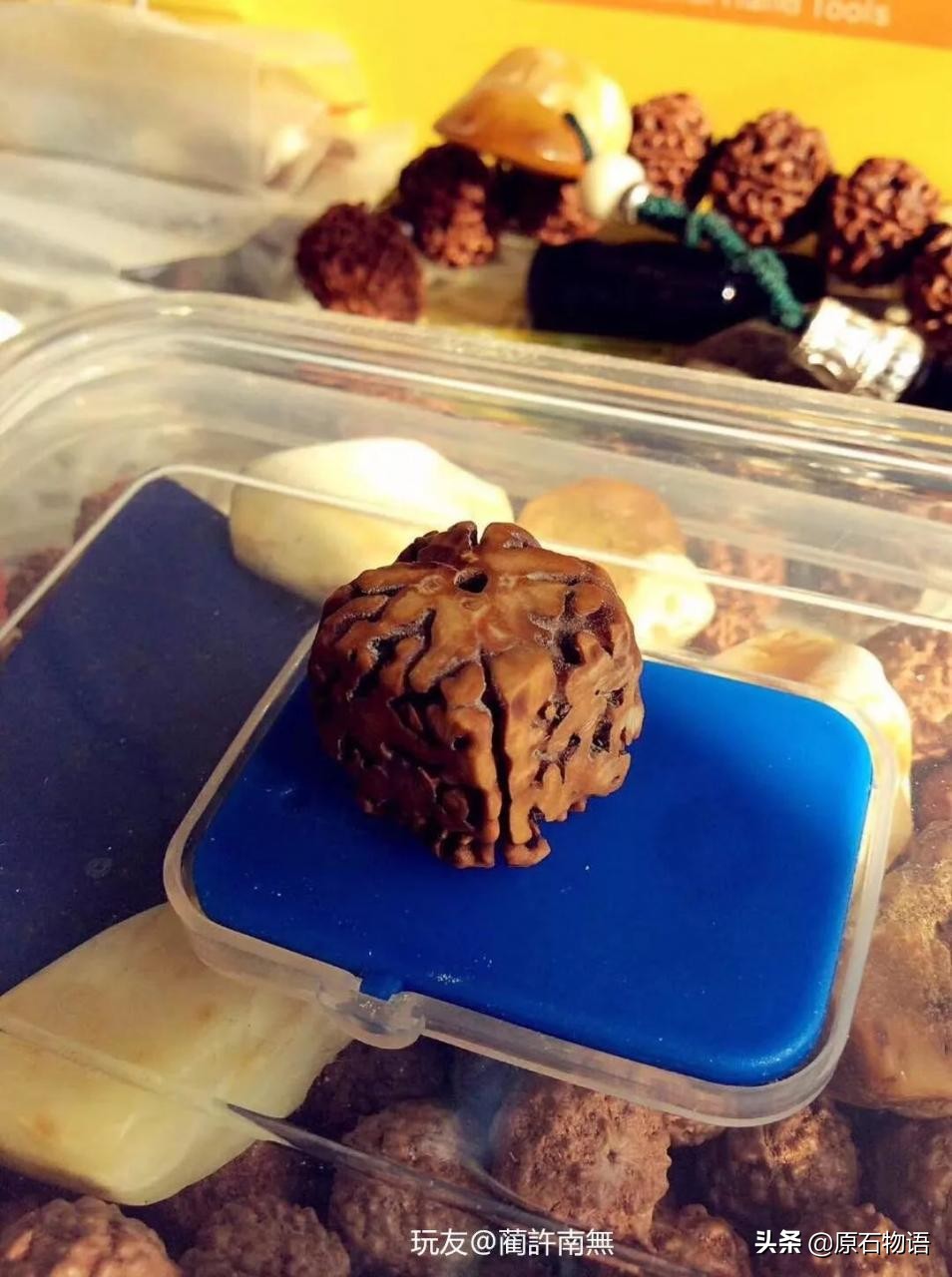 金刚菩提用砂纸磨矮桩,金刚菩提磨漏了怎么办