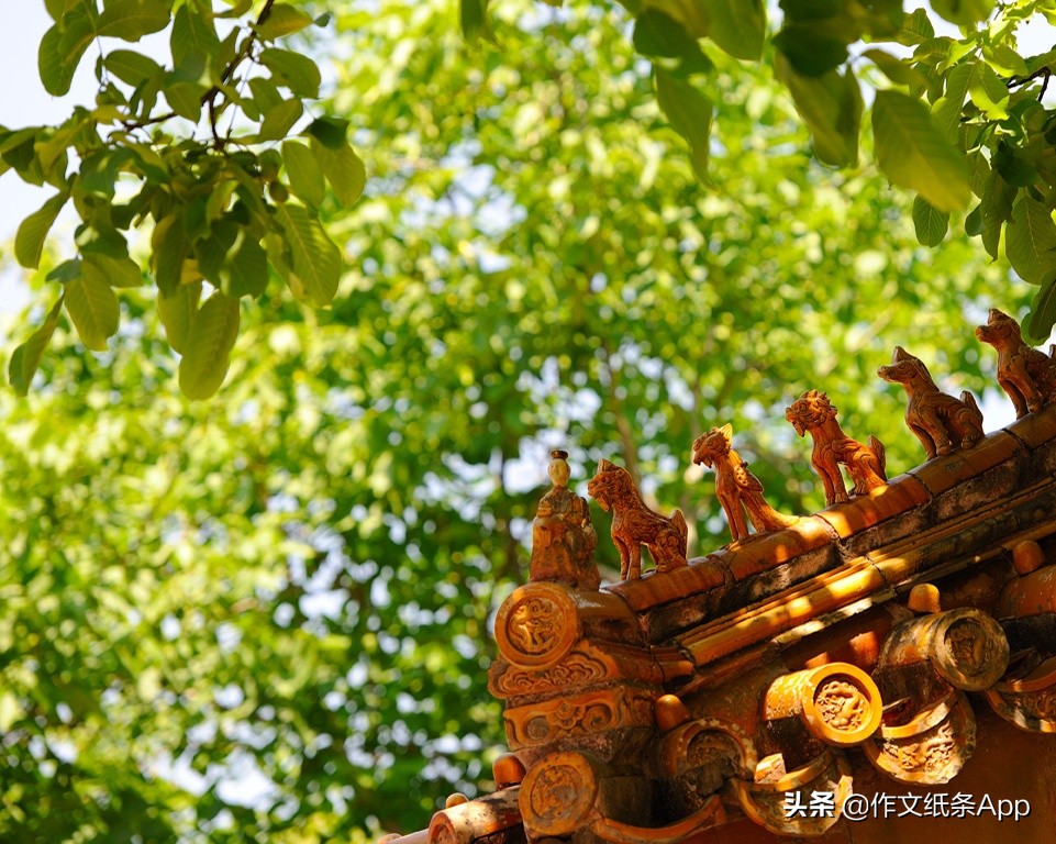 高考58篇必背作文,高考作文轻松拿到55分秘诀