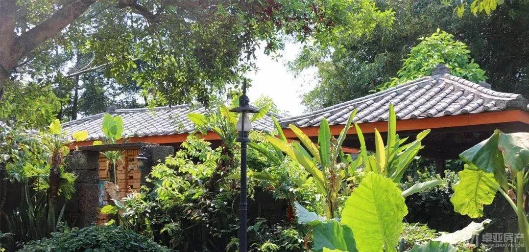 全球高尔夫,全球高尔夫挥杆