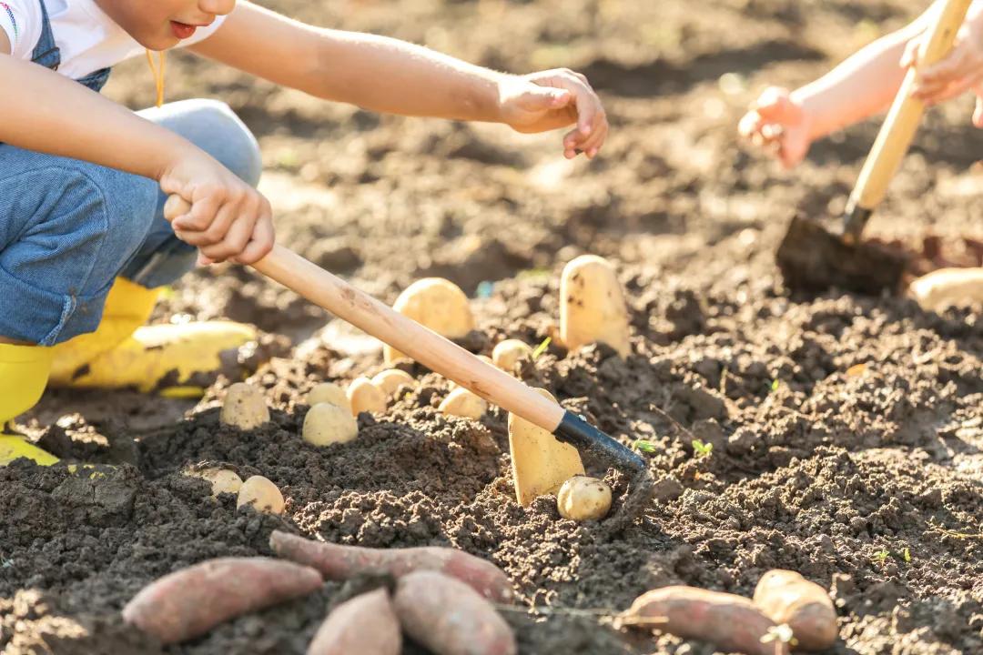 怎样才算家庭农场,怎样才能有自己的农场