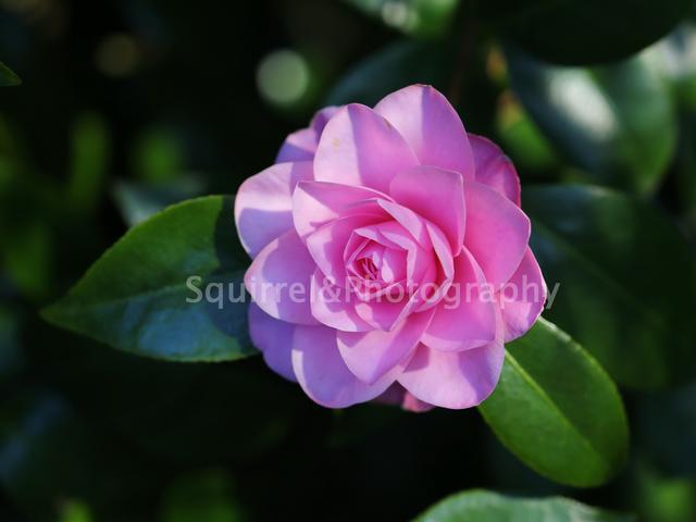 最新期权复盘消息,期权熊市最新消息