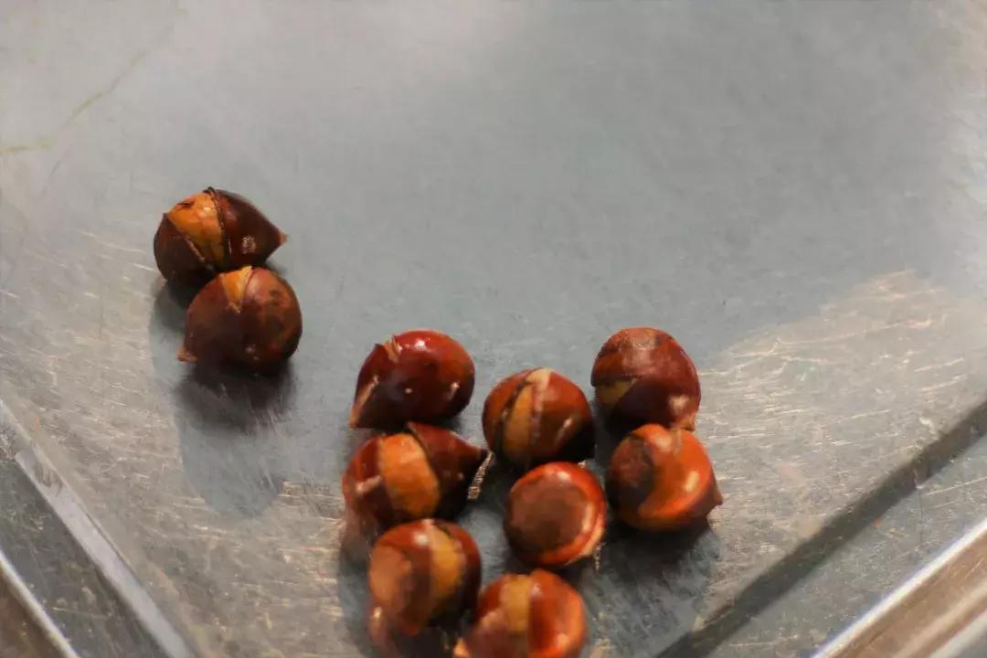 金味栗子在南京有几家店,好吃的栗子店有哪些