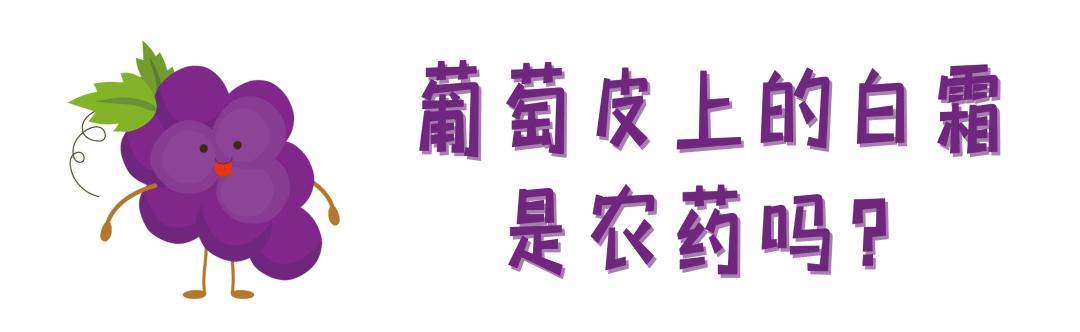 葡萄熟了但很小,葡萄有的熟了有的没熟