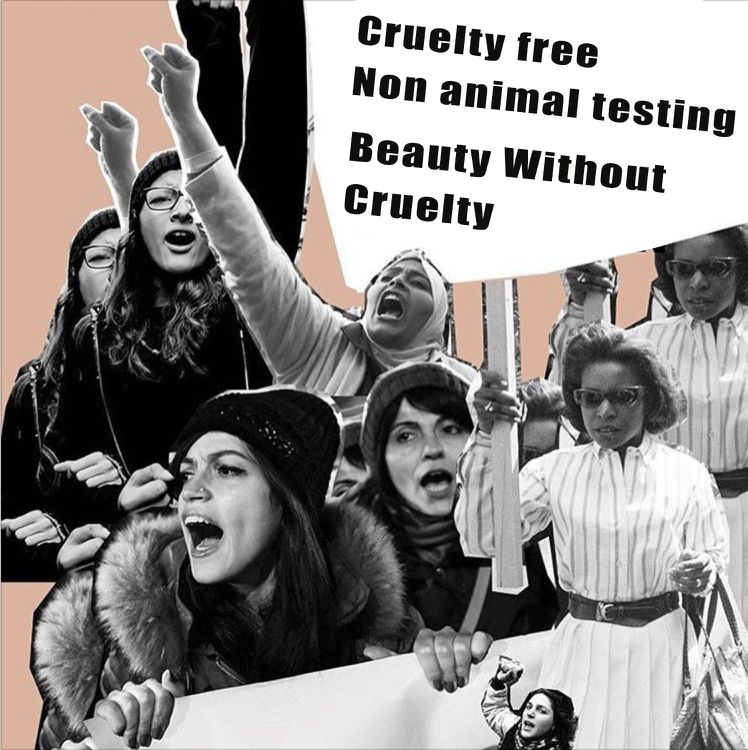 google最新产品,google品牌