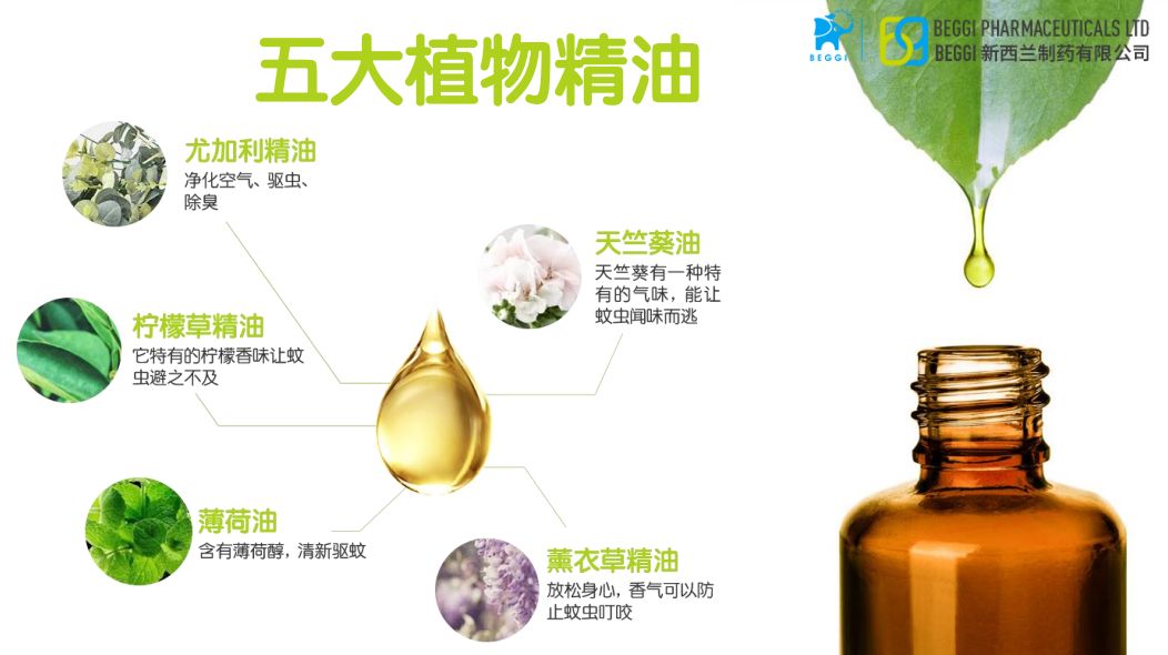 夏天家里蚊子多教你一招不用蚊香,很多人不懂蚊子怕什么