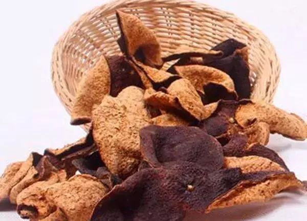 打卡茶产地|收陈皮时节到啦!这有你想get的重点