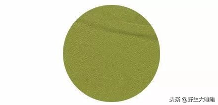 春天穿这些颜色真是美爆了,冬天穿这些颜色真的太美了