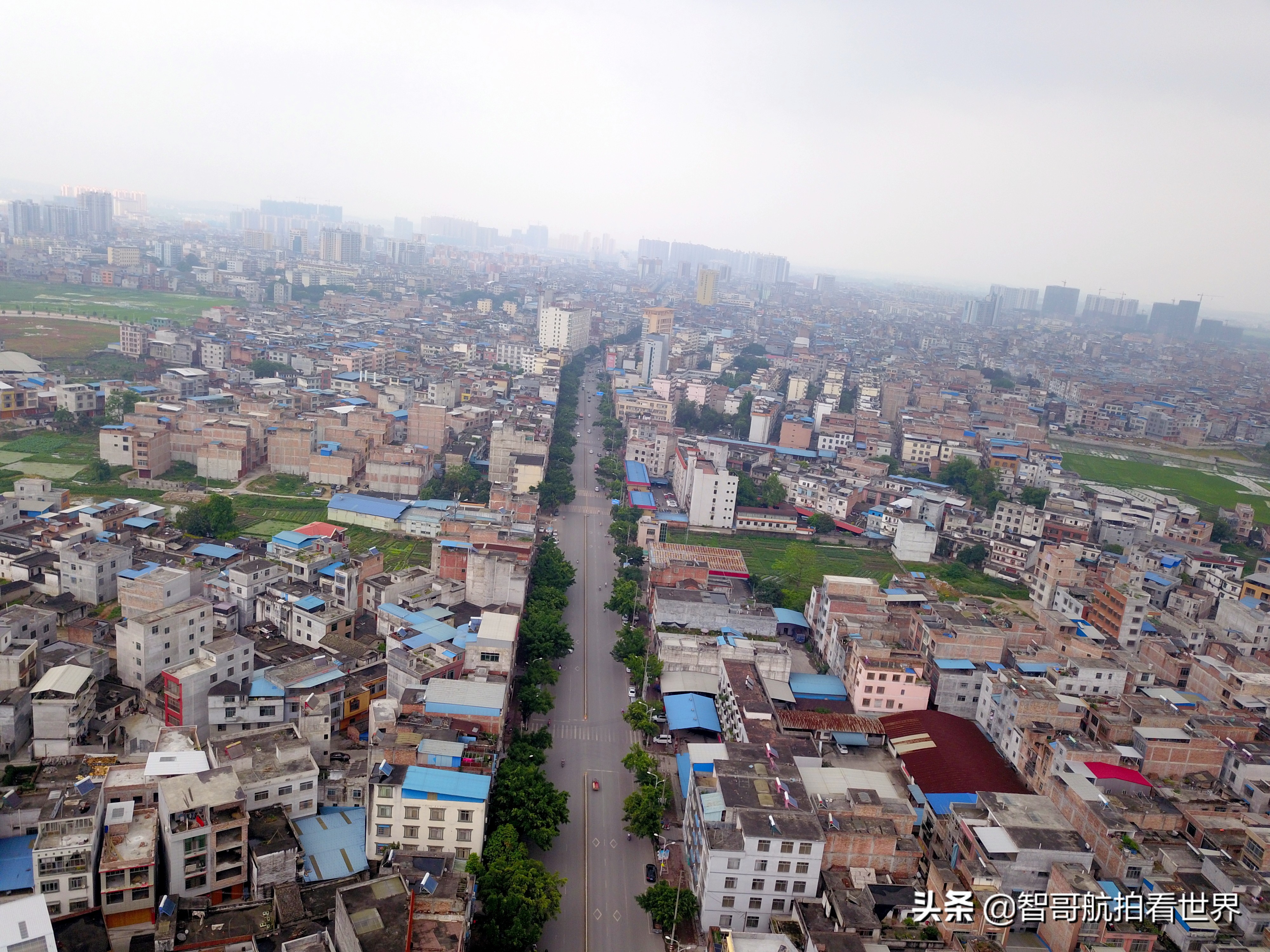 广西宾阳炮龙乡视频,宾阳炮龙之乡新闻