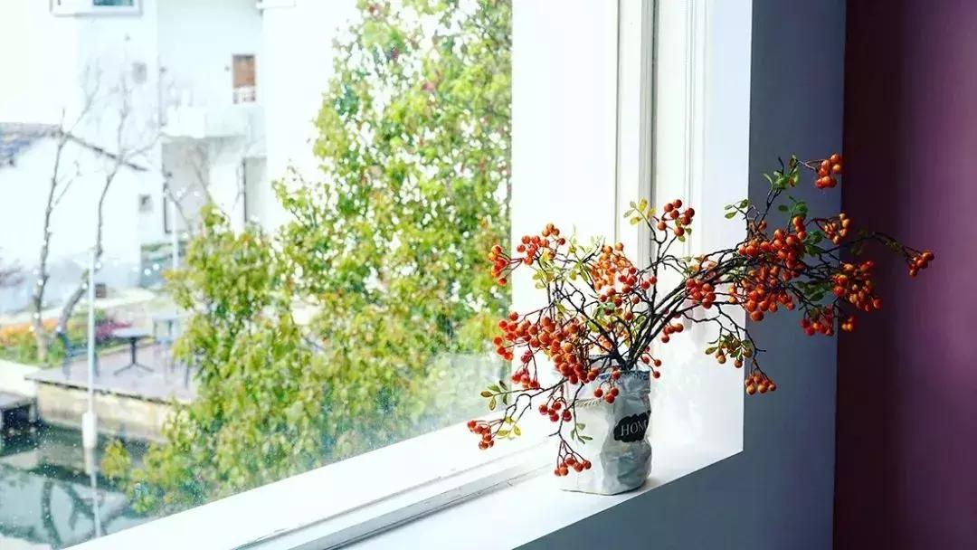 去上海必去的民宿,上海树林民宿推荐