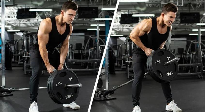 背部训练健身体式动作图解,健身背部训练背背佳