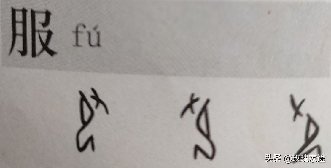 三伏天狗肉如何进补,三伏天吃狗肉有用吗