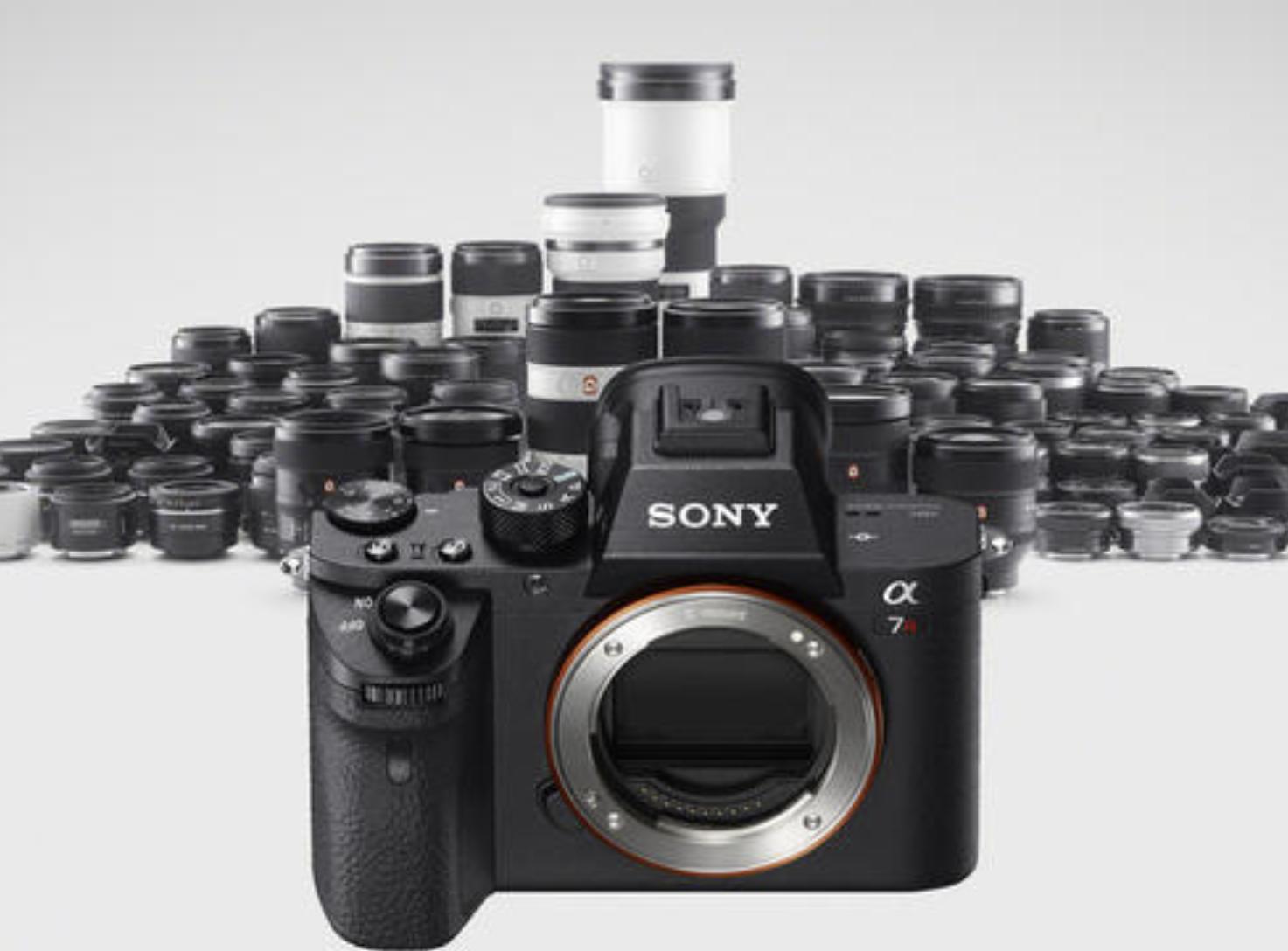 佳能索尼尼康相机的区别和优缺点,佳能索尼尼康哪个相机好旗舰机