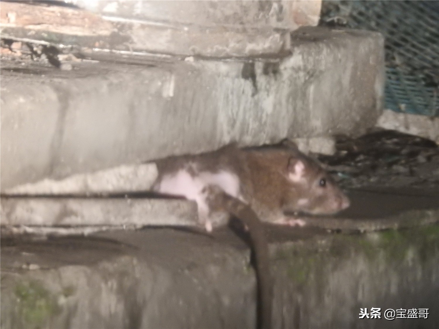 罗定值得人去的地方,罗定的一处美景