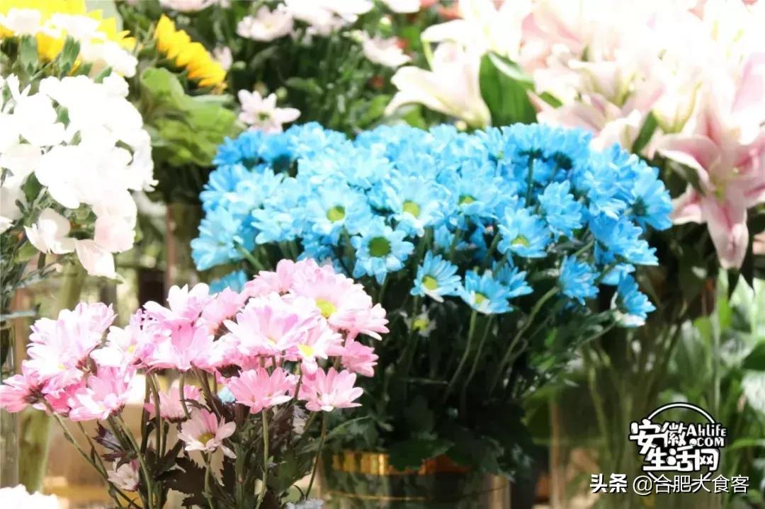 合肥大超市购物省钱攻略,合肥最值得逛的超市