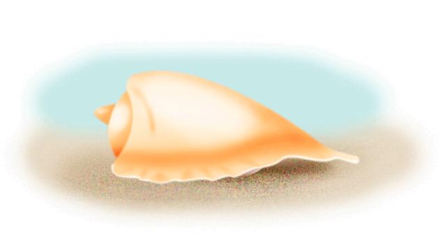 峨螺是什么,厚重峨螺