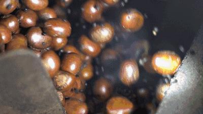 Foodie君亲测,专注19年现炒栗子的粒上皇,名不虚传!