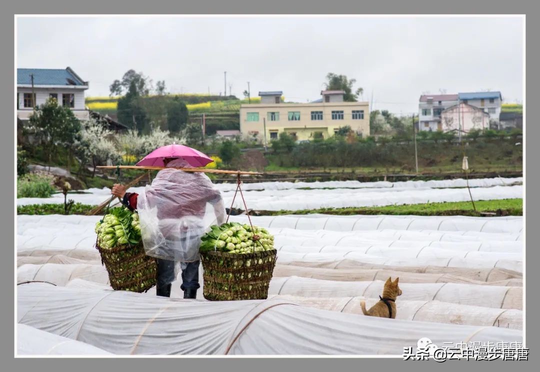 岳池坪滩风景区,行走的风景岳池