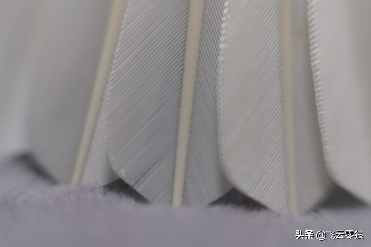 「中羽在线飞云零狼」威羽斯钻一钻二钻五评测——高性价比鹅毛球