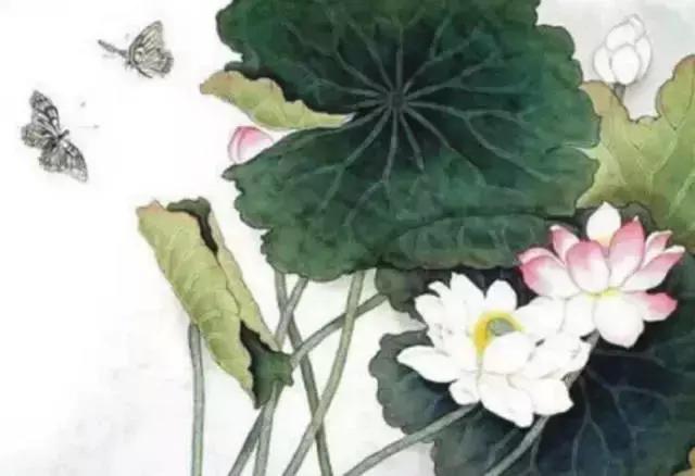 糊涂意思,糊涂啦什么意思