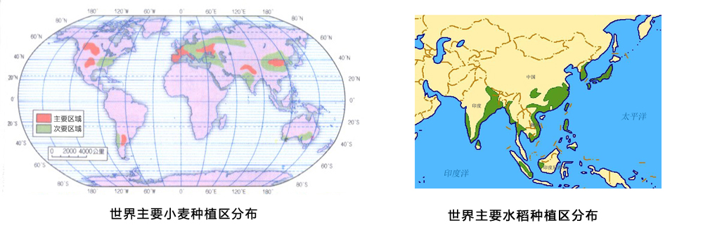 粮食不能自给的非洲各国，那里的人们都是以什么为主食的？