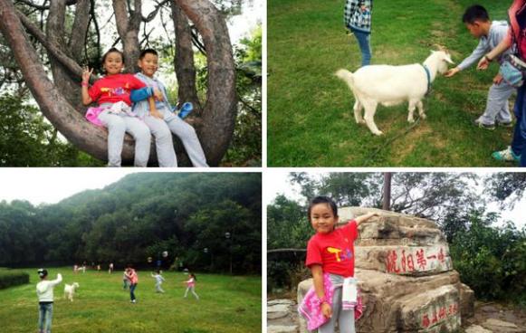 沈阳旅游景点大全排行榜前十名,沈阳必去的三大景点沈阳森林公园