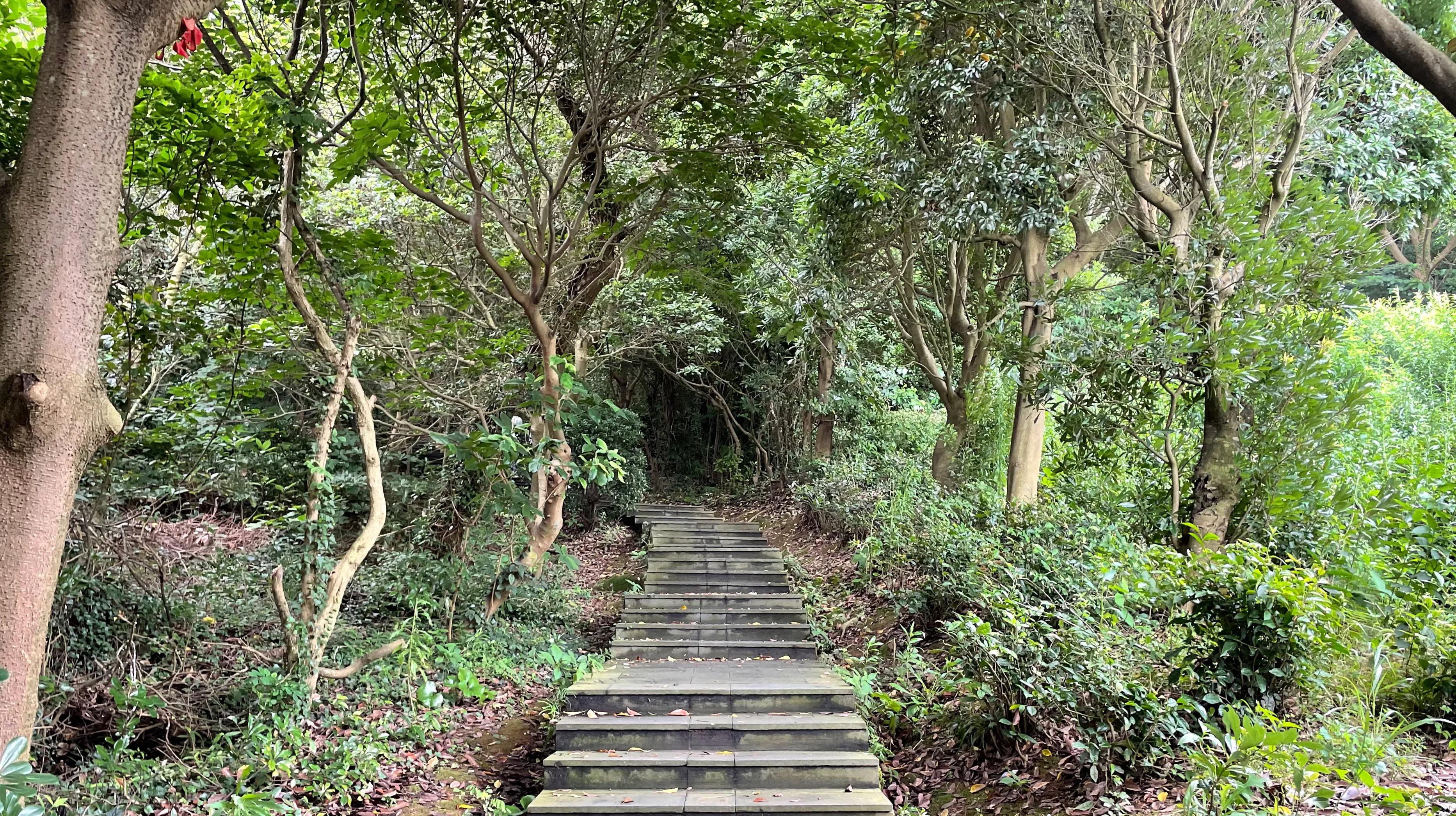 舟山桃花岛武侠城,舟山群岛桃花岛金庸文化园