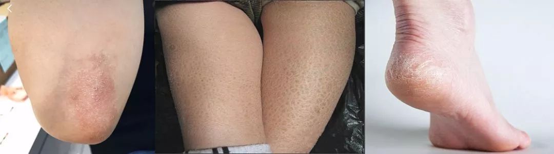 加拿大总理亲自给马云种草身体乳，开玩笑说能抹在面包上？这操作