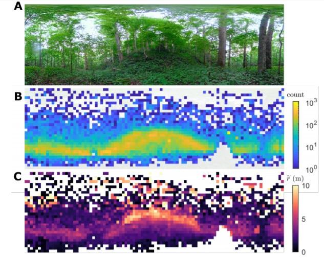 脑科学日报:“老年痴呆”要改名了?青年型痴呆的发病率超乎想象