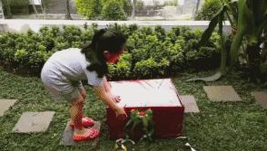 小短腿柯基居然有三个不同品种,小短腿柯基有多可爱