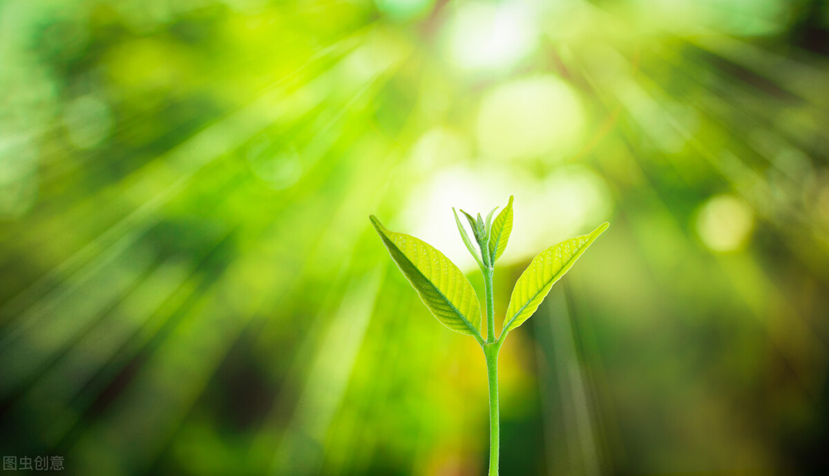 素质教育的基本内涵详细解释,素质教育面向全体学生的反面案例