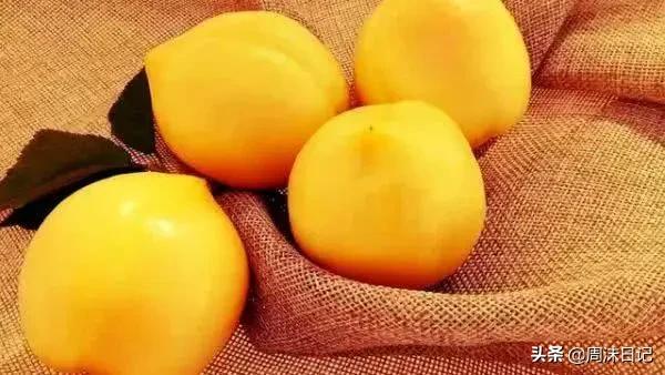 早熟的黄油桃,黄油桃无毛