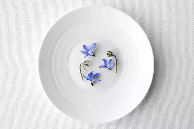 秀色可餐品赏美食,秀色可餐食色俱佳