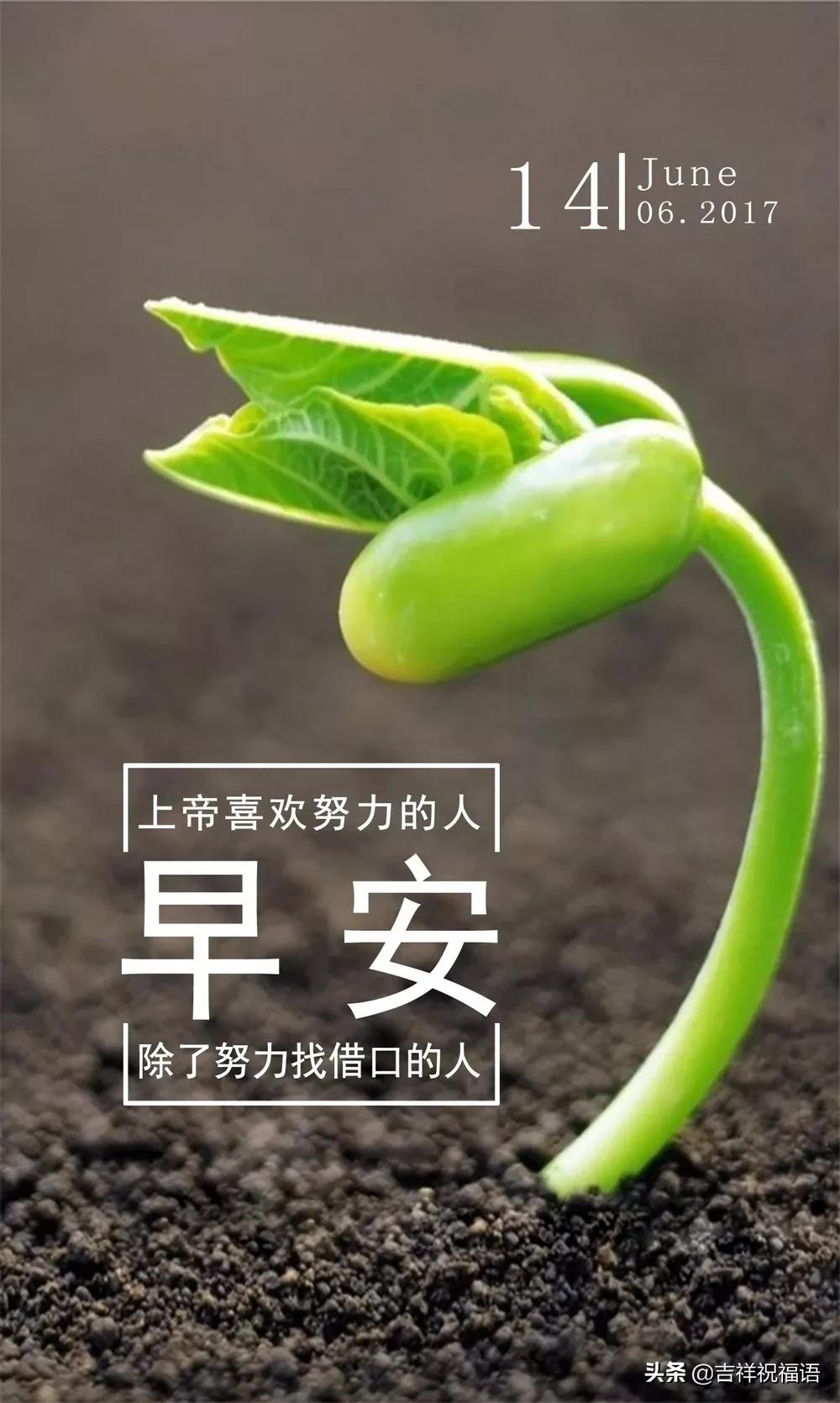 2020激励团队正能量的句子,马云励志正能量视频2020