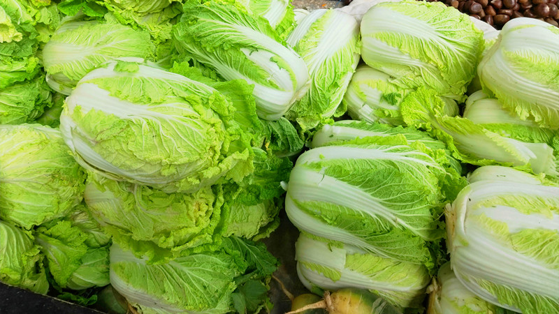 囤菜的建议和方法,北方囤大白菜怎么吃