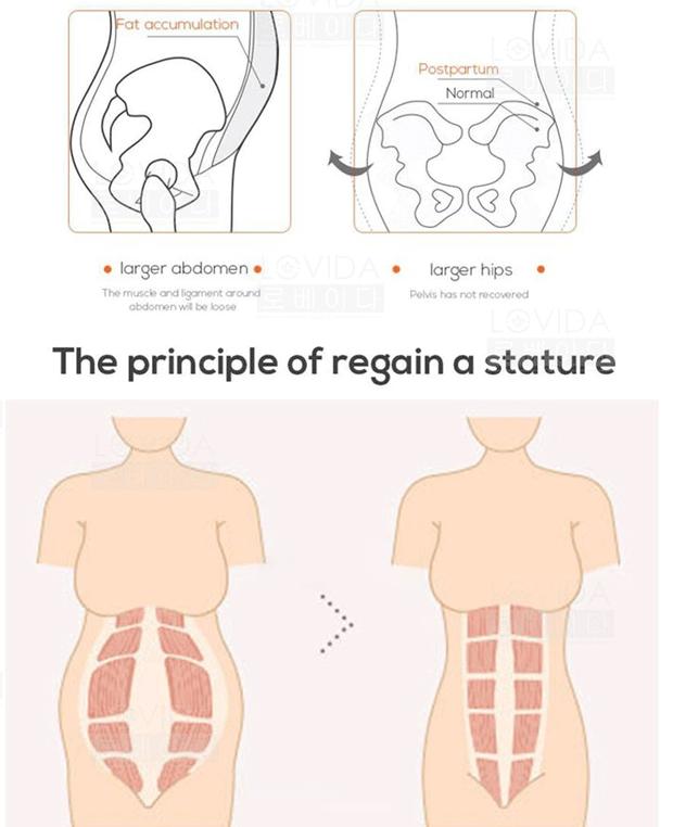 这篇塑身衣文章，我准备了半年