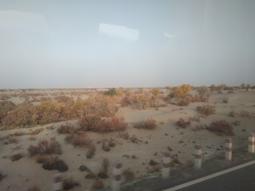 我在新疆生活的经历,我在新疆打工的日记