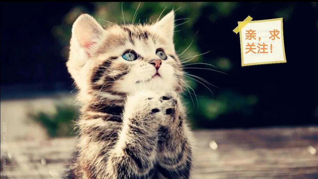 四本五百万字的小说,都市小说推荐完本300万字以上