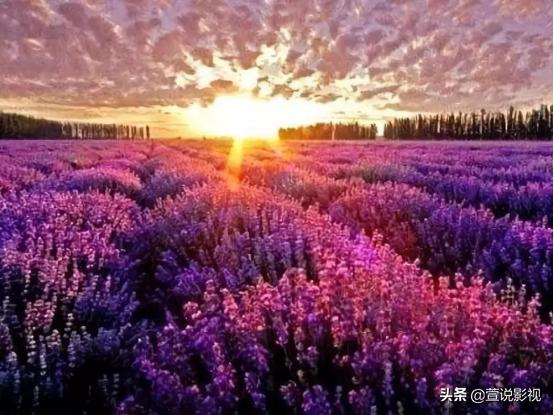 水逆退散星座配对,水逆退散后星座的运势