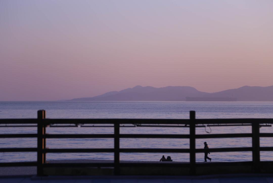 均温20℃的海滨老城，紫色泡桐花美得像国外，现在去性价比超高