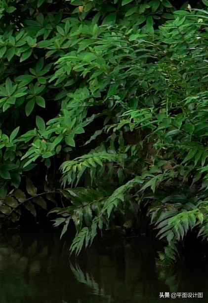 尼康和佳能全画幅怎么选,尼康18-135全画幅