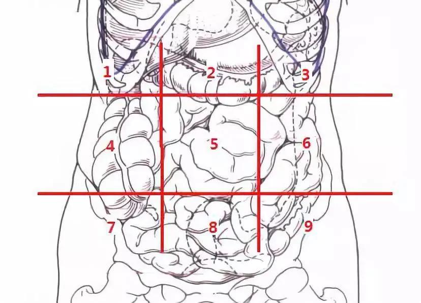 发现肚子有肿瘤怎么办,发现肚子硬硬的是什么原因
