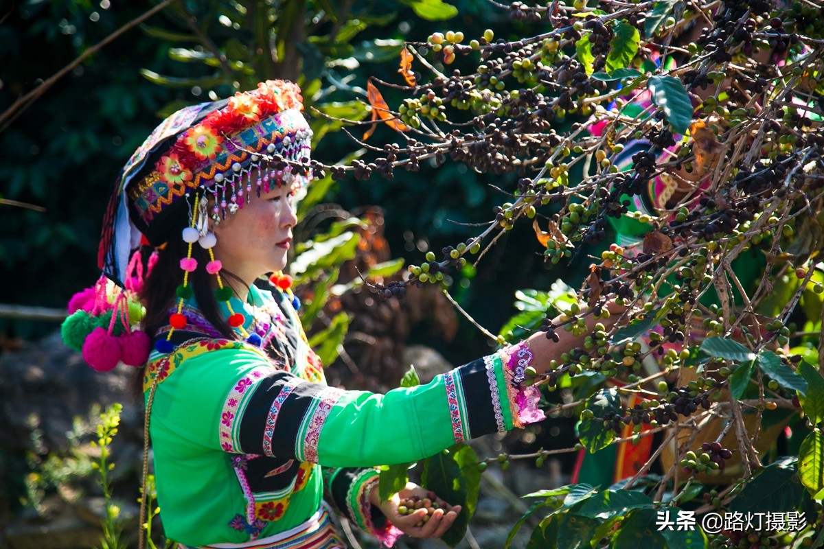 世界春城排行榜云南独占6城,云南世界第一春城